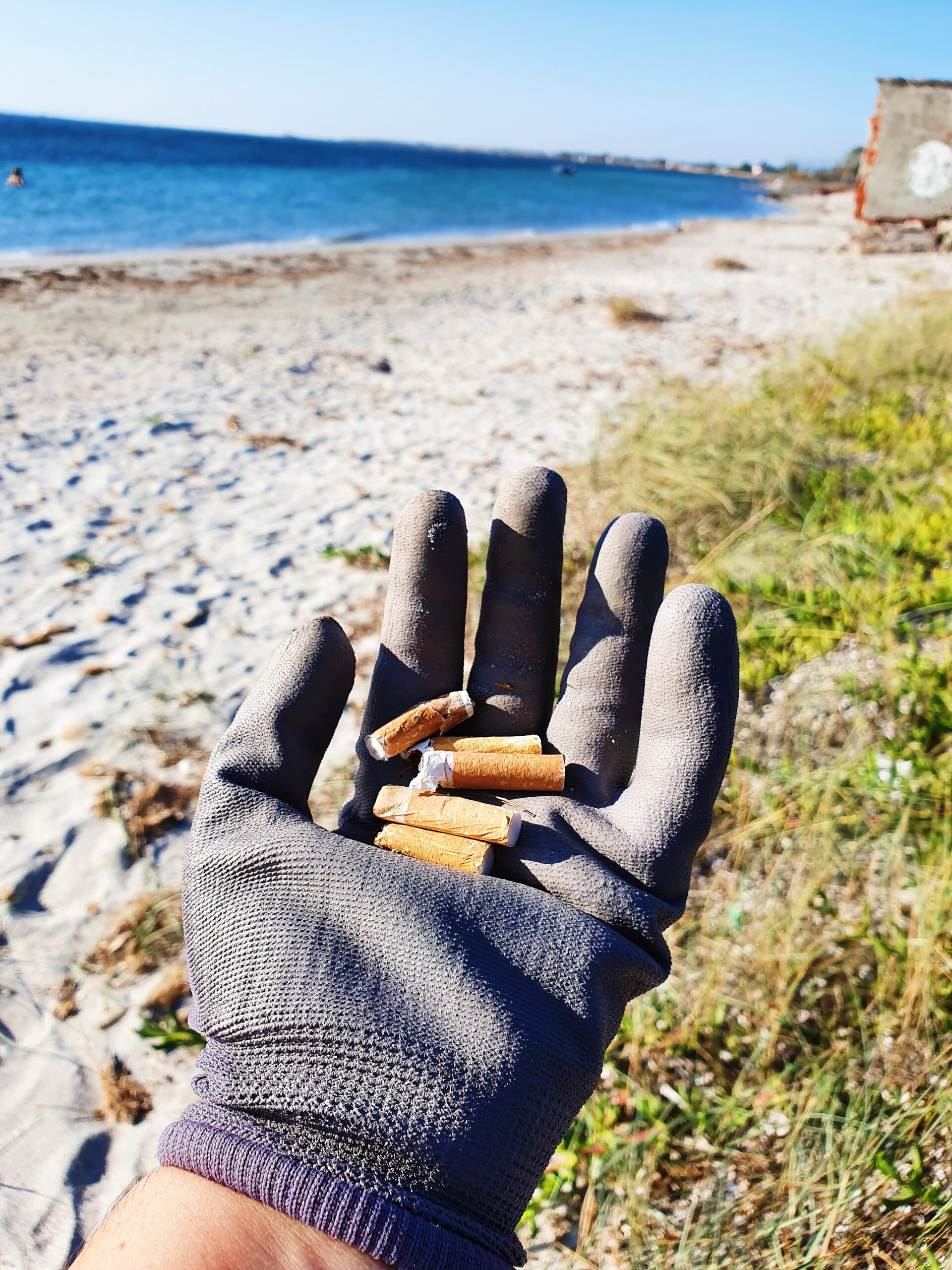 Attività Marevivo Sardegna ottobre 2019